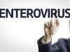 Enterovirus Outbreak on the Decline