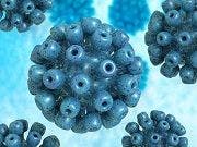 Novel Hepatitis C Drug Shows High Cure Rates