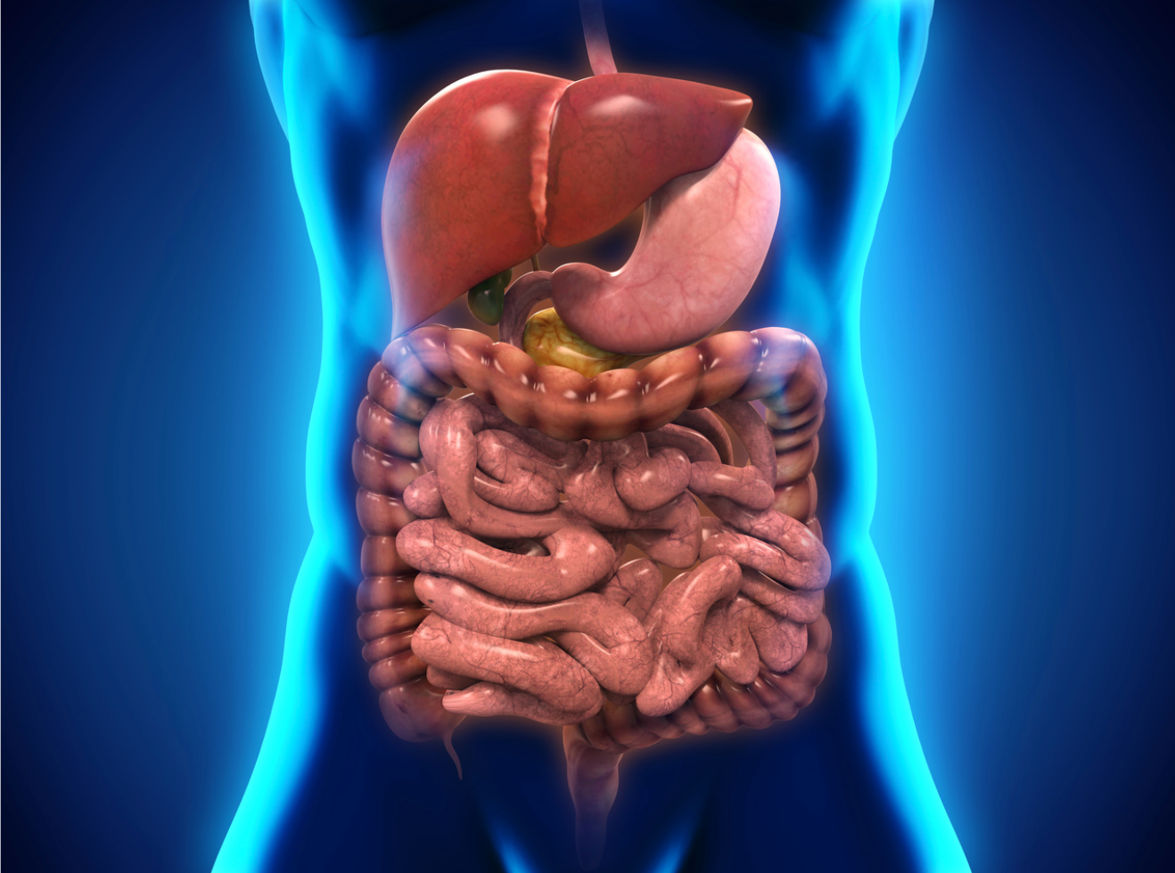 Study Supports 3-Year Interval Between Multi-Target Stool DNA Screening for Colorectal Cancer 