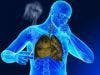 Research Pinpoints Pathway Used by Nicotine to Induce Lung Cancer 