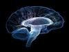 Novel Cannabidiol Medication Reduces Seizures from Severe Epilepsy