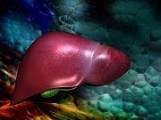 Asthma Drug May Prevent Liver Disease