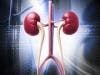Potentially Harmful Cancer Drug Removed from Rare Kidney Cancer Treatments