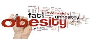 Study Finds BAM15 as Potential Treatment for Obesity