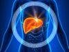 Live Donor Liver Transplants Found to be Safe, Effective