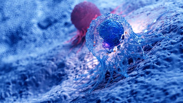 3d rendered illustration of the anatomy of a cancer cell | Image Credit: SciePro - stock.adobe.com