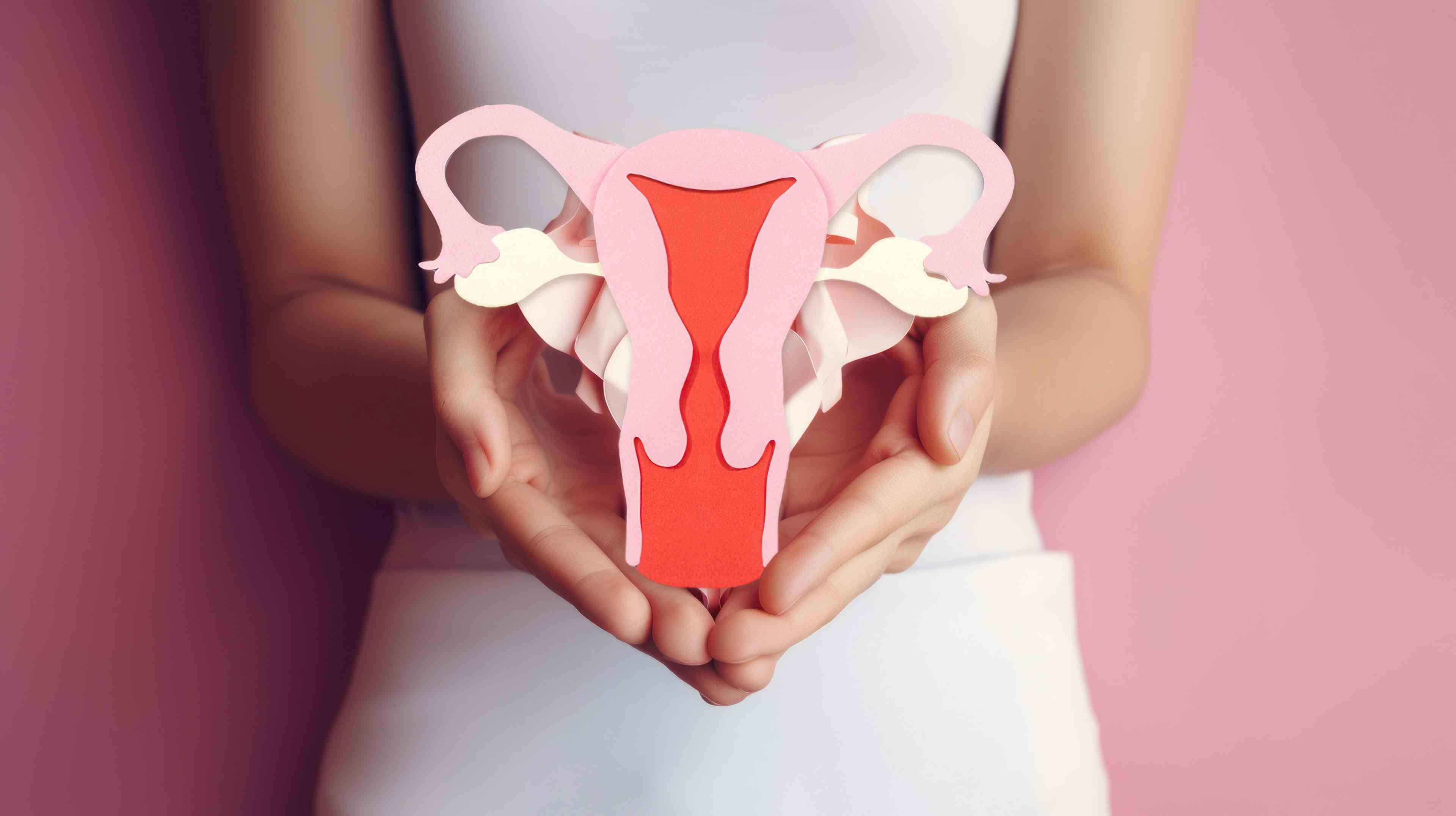 Female reproductive health concept. Woman hand holding uterus shape made frome paper on pink background. Awareness of uterus illness such as endometriosis, PCOS, or gynecologic cancer. GENERATIVE AI - Image credit: Nishihata | stock.adobe.com