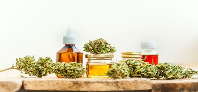 Gender-Based Trends, Physician Support Influence Medical Cannabis Use, Prescription Discontinuation