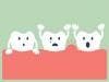 History of Gum Disease Linked to Increased Risk of Cancer