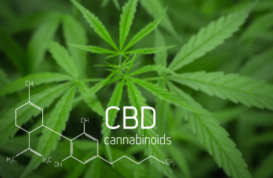 Expert: Hemp-Derived CBD Products ‘Are Simply Not Regulated, That's The Problem’  