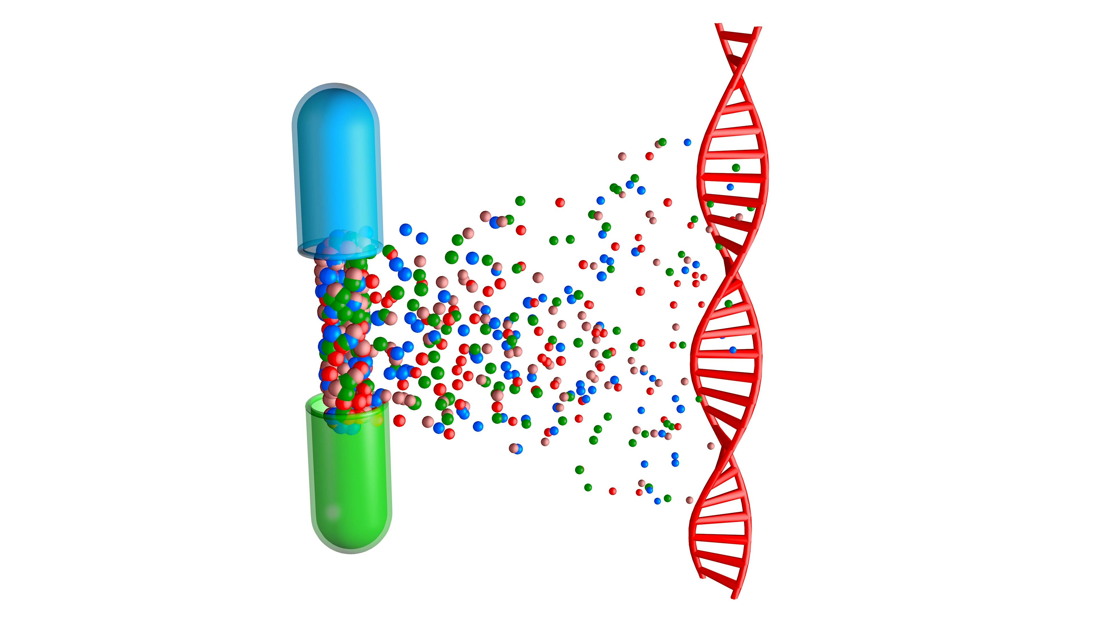 Pill capsule opens and releases drugs to DNA strand. Medication interacting with double-helix. Pharmacogenomics , Pharmacogenetics themes. 3d rendering illustration. Credit: vrx123 - stock.adobe.com