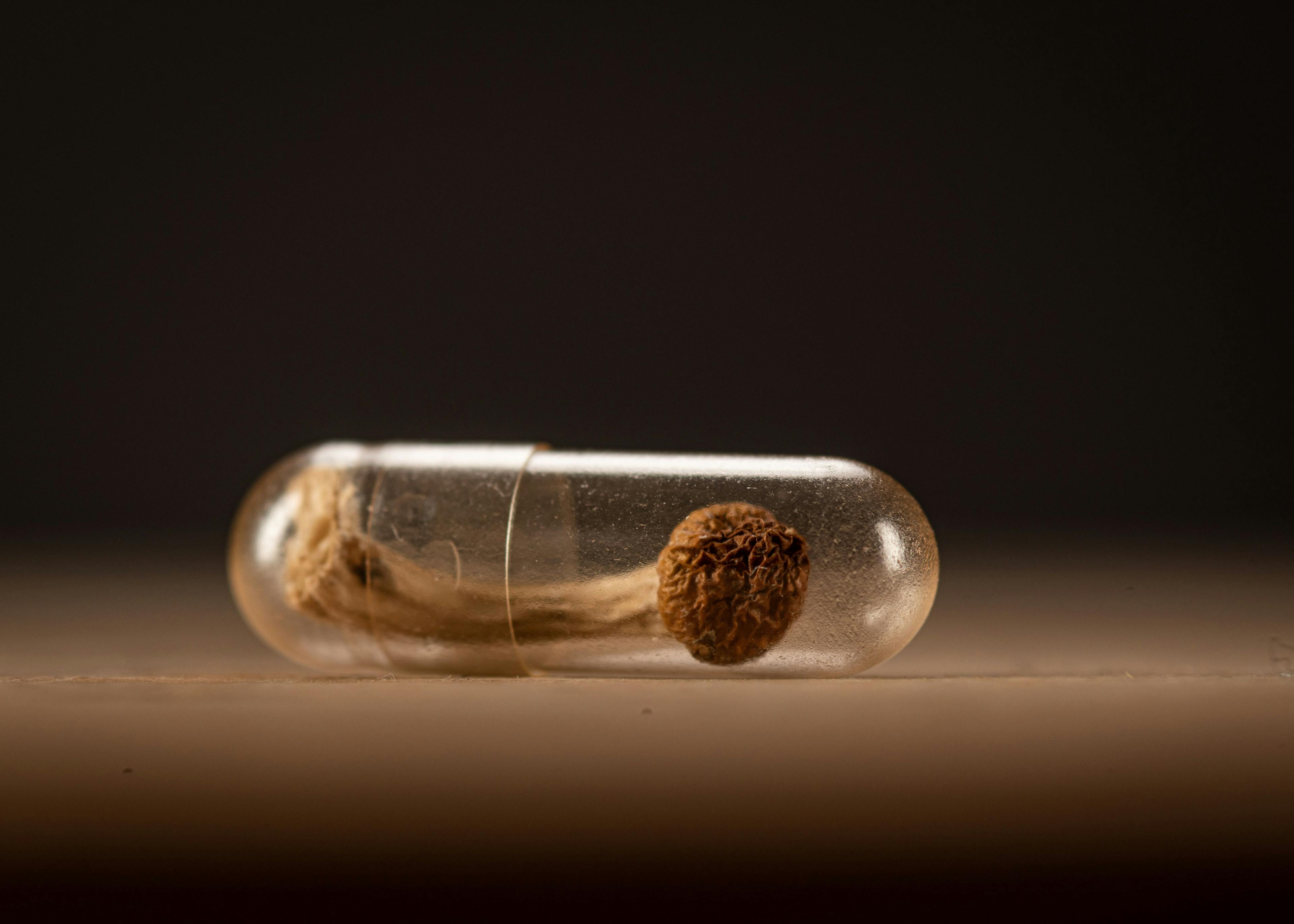 Whole psilocybin mushroom in a clear medication capsule | Image credit: Zim - stock.adobe.com