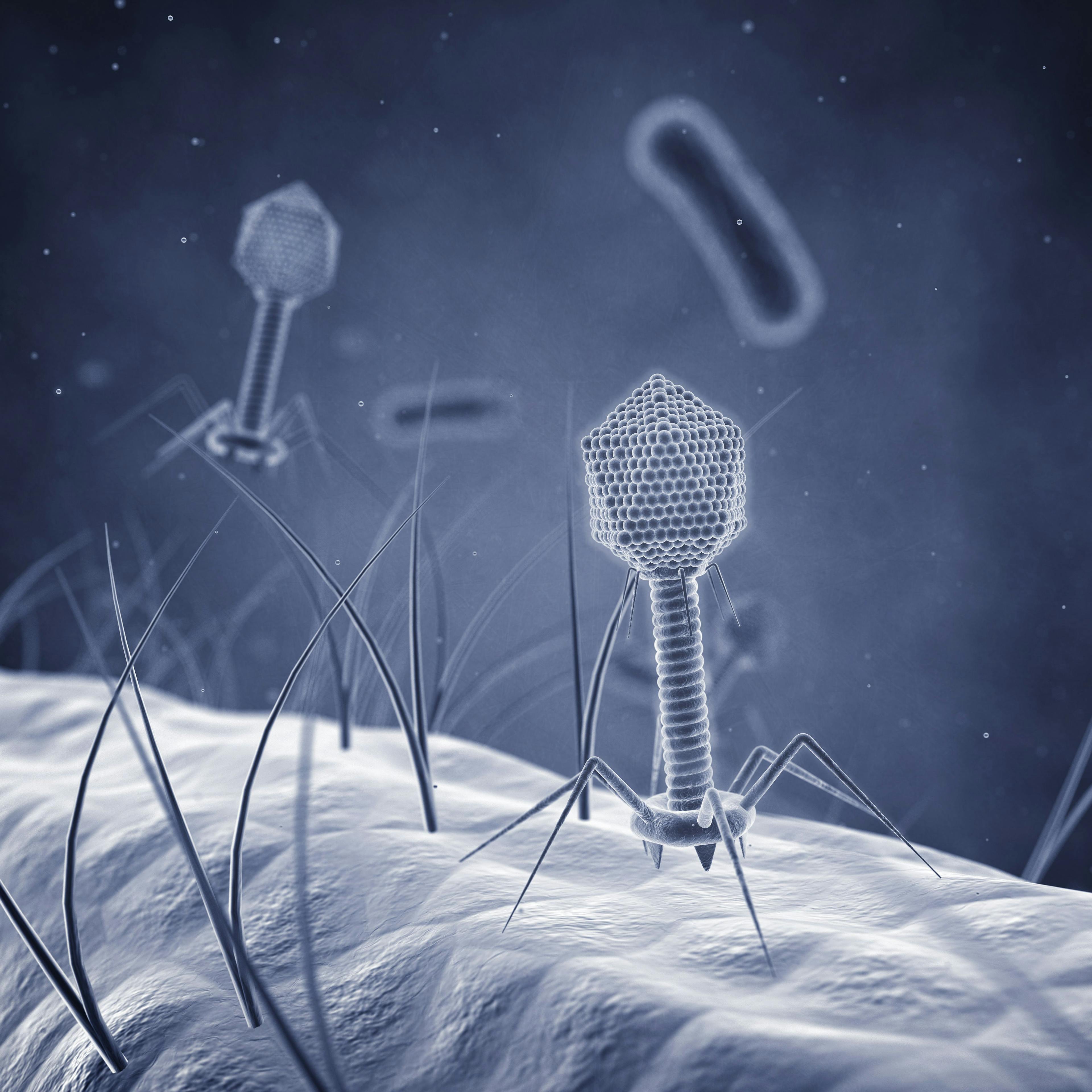 Study Recreates Biological Microenvironments, Demonstrates Effectiveness of Phage Therapy as Antibiotic Alternative
