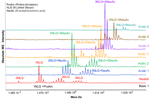 Figure 2. The icIEF UV (Panel A) and MS (Panel B) charge profiles for this complex mAb show the intact mass electropherogram of corresponding icIEF peaks. Corresponding charge profiles are mirror images because basic peaks are analyzed first by MS. Panel C shows the intact mass profiles and their identification by charge variant, arranged from top to bottom by increasing pI value. The Basic 1 peak, with the highest pI value of 8.24, as shown in Panel A, consists of proline amidated species. The neutral charge isoform with a pI of 8.13 is composed of 0 to 3 neutral N-linked glycans attached per glycosylation site per molecule. The decrease in pI from Acidic Peak 1 (pI 8.00) to Acidic Peak 3 (pI 7.27) corresponds to the incremental additions of up to six terminal N-acetylneuraminic (sialic acids).