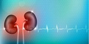 Tocilizumab Research Could Lead to Personalized Treatments for Kidney Transplant Patients