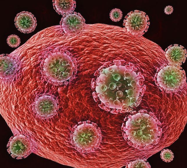 HIV and Immunotherapy: The Immune System Awakens