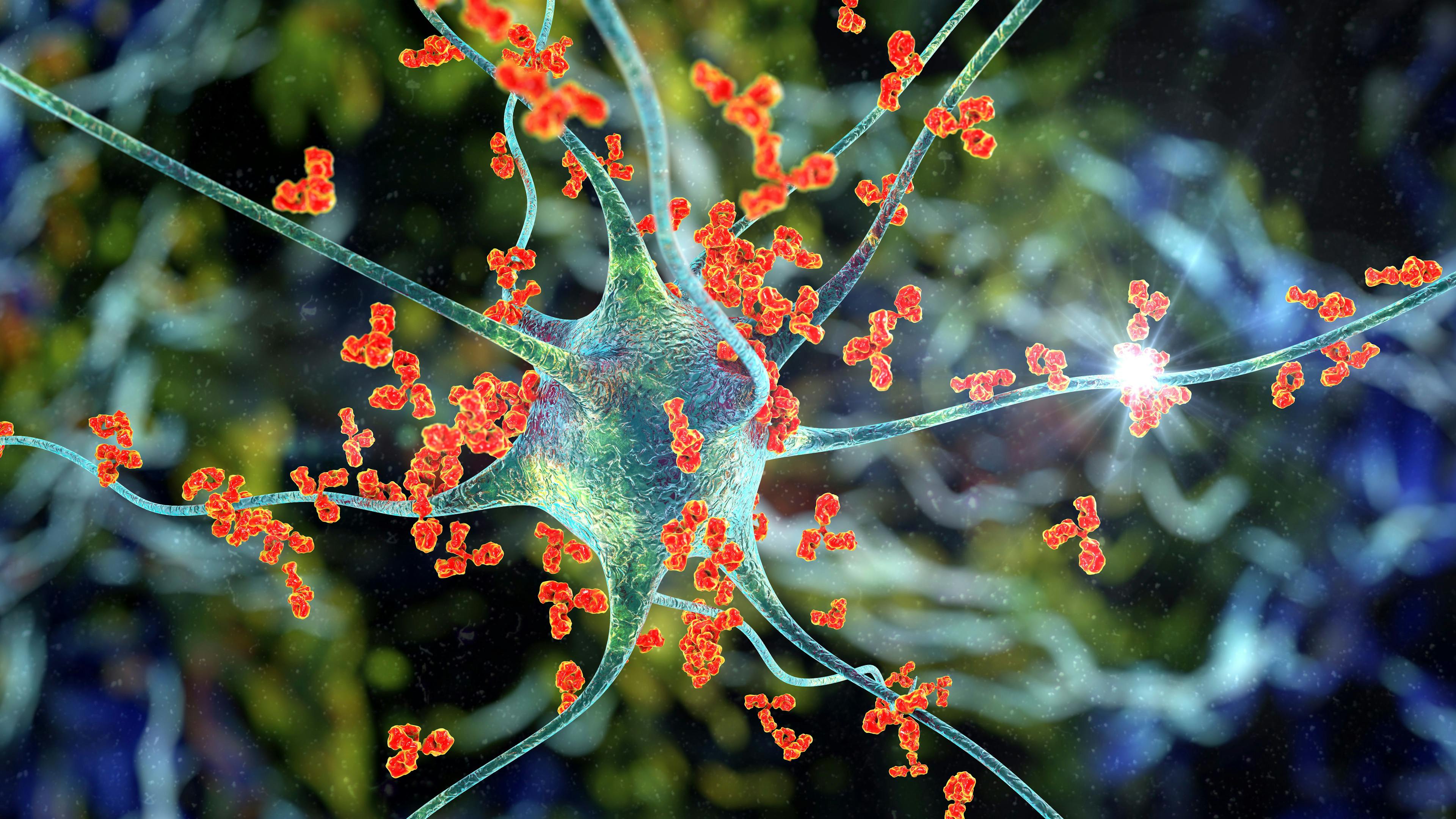 Antibodies attacking neuron - Image credit: Dr_Microbe | stock.adobe.com