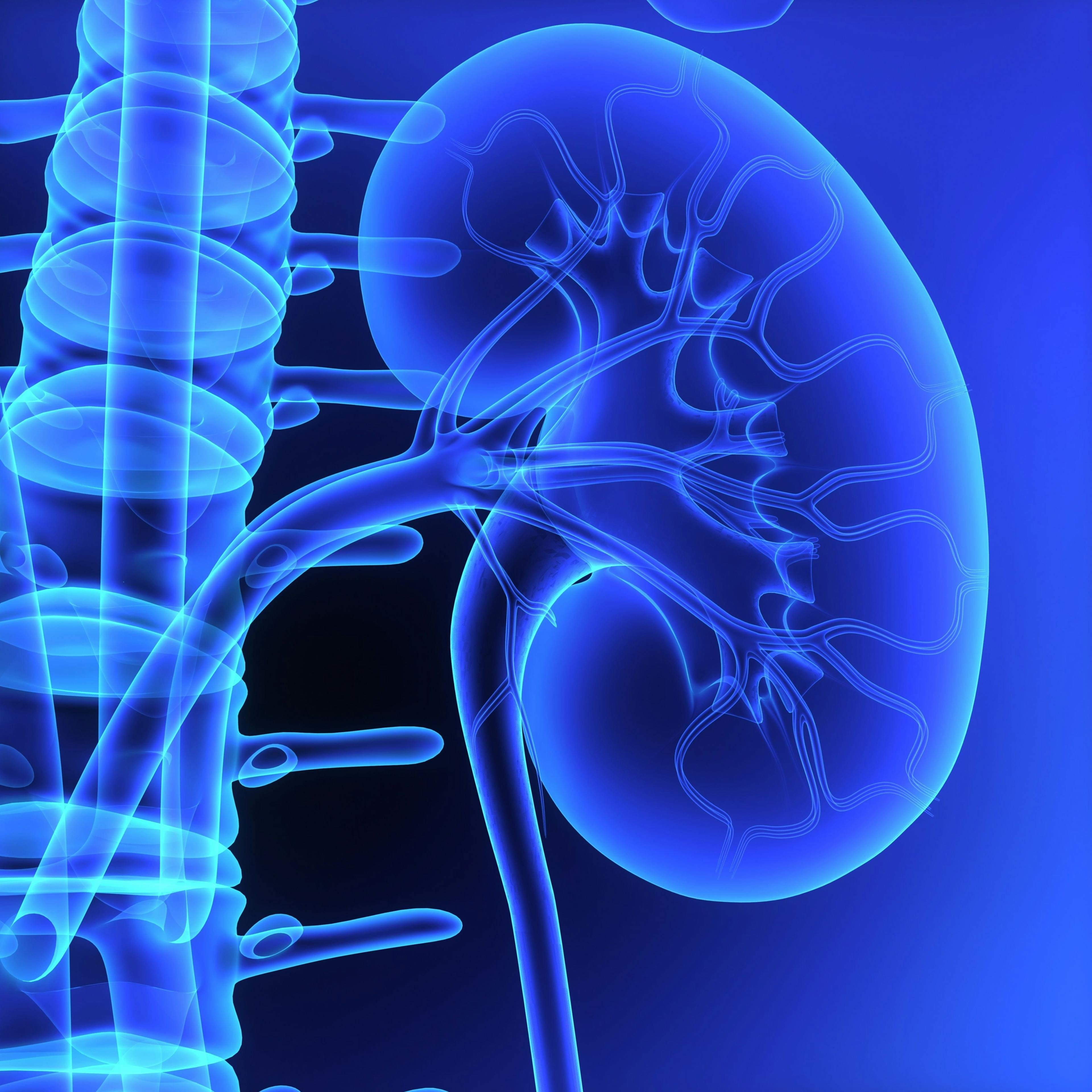 Implications of Study Results Investigating Long-term Aspirin Use, Kidney Disease Progression