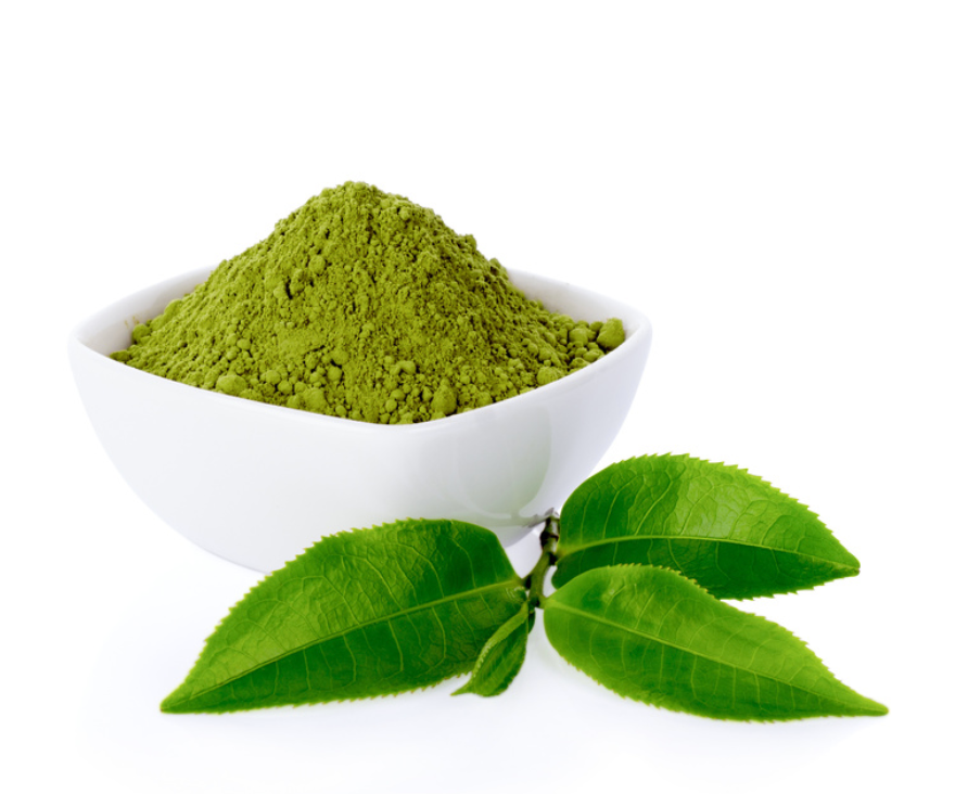 Study: Green Tea Extract Reduces Blood Sugar Levels, Improves Gut Health