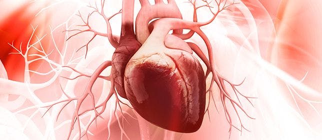 Affairs of the Heart: Cardiovascular Disease in Women Vs Men