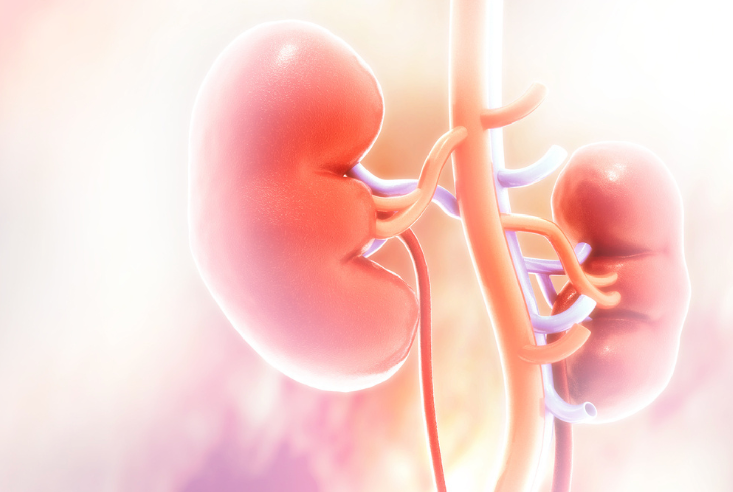 Pharmacy Clinical Pearl of the Day: Kidney Disease Stages