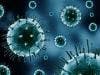 Proteins Found to Inhibit HIV Reproduction