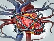 Depression Increases Long-Term Risk of Death After Coronary Heart Disease Diagnosis 