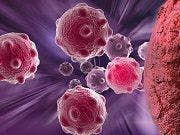 Drug Combination Overcomes Breast Cancer Treatment Resistance