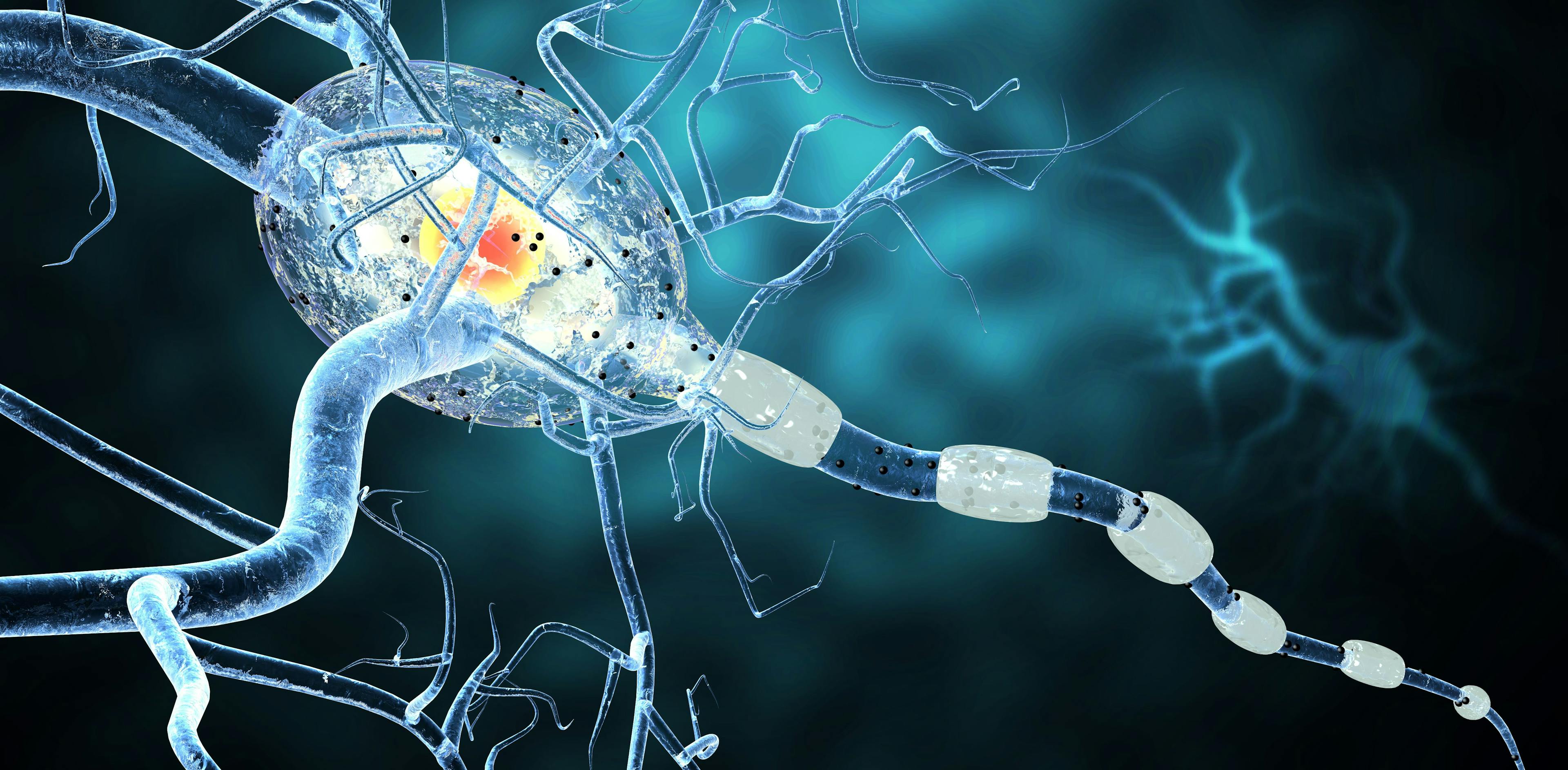 nerve cells, Neurologic Disease, tumors,brain surgery | Image Credit: ralwel - stock.adobe.com