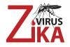 Zika Virus May Cause Heart Failure, Arrhythmias, Study Suggests