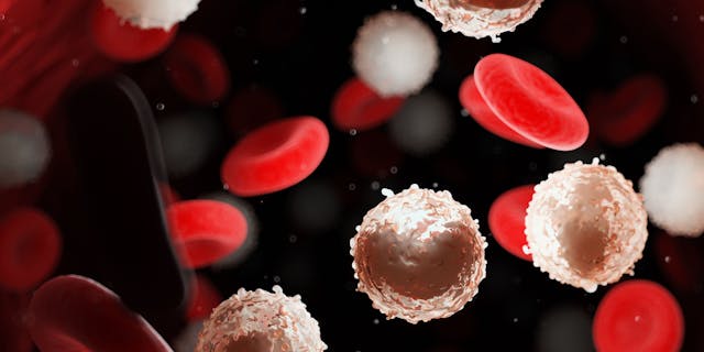 Abundance of white blood cells in blood -- Image credit: Sebastian Kaulitzki | stock.adobe.com