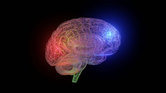 Study Demonstrates Mechanism of Psychedelic-Induced Neuroplasticity
