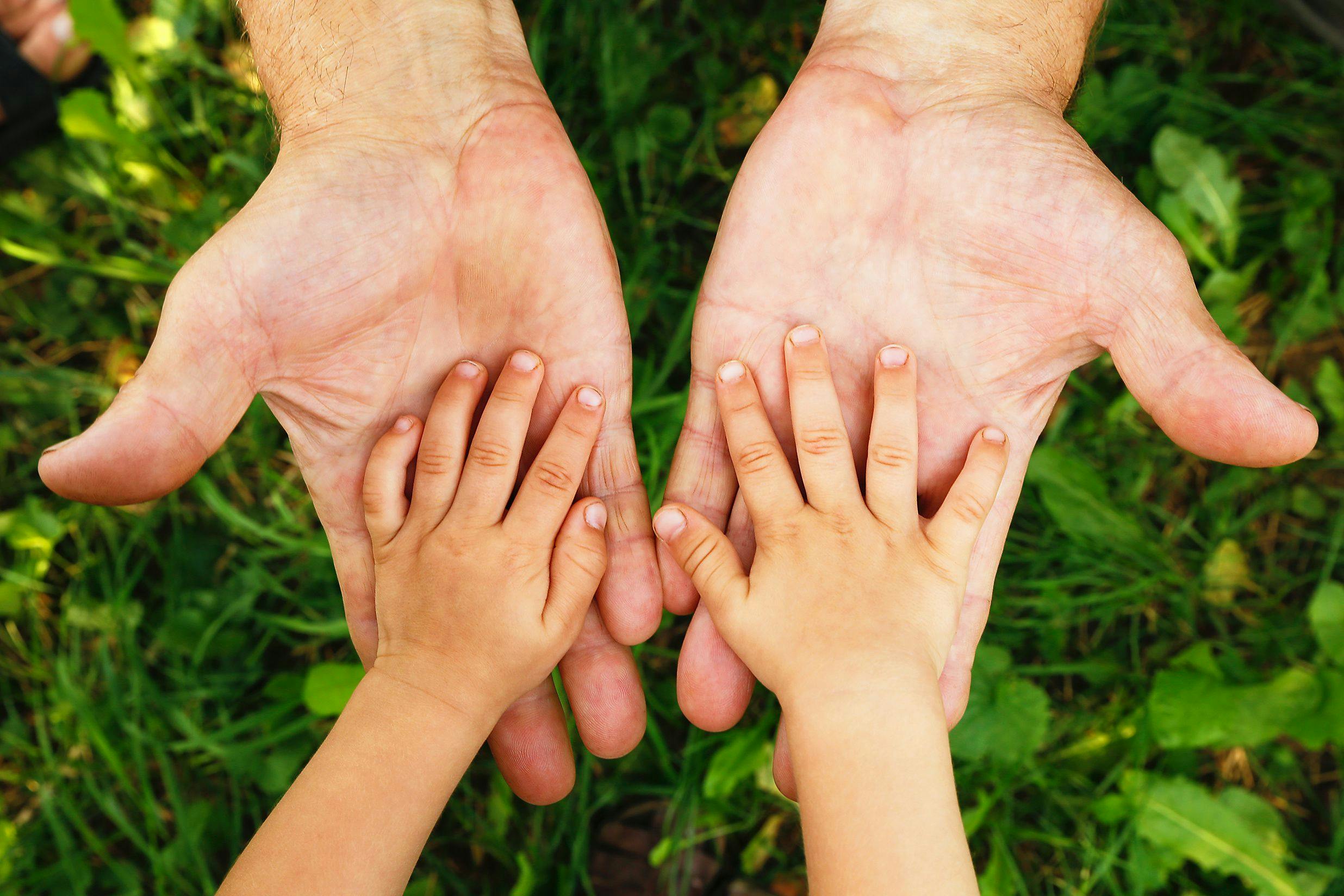 Parent and Child Hands | Image Credit: gera85 - stock.adobe.com