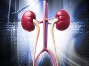 FDA Approves Treatment for Kidney Function Decline