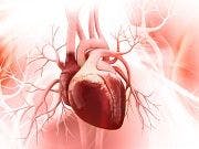 Heart Failure Guidelines Significantly Alter Treatment Options