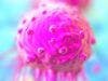 Promising New Rare Cancer Drug Highlights Oncology News Roundup