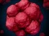 Stem Cell 'Mini Brains' Developed to Reveal Potential Drug Treatment for Rare Disorder
