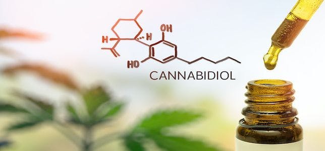 Study: Some CBD Oils Equally, Less Effective Than Pure CBD At Inhibiting Cancer Cell Lines
