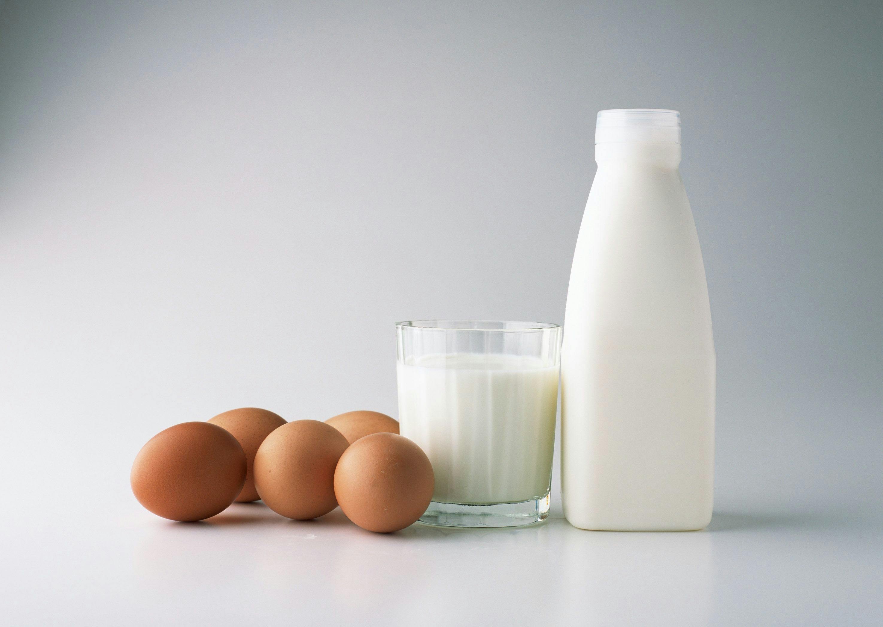 Milk and eggs- Image credit: Lilit | stock.adobe.com 