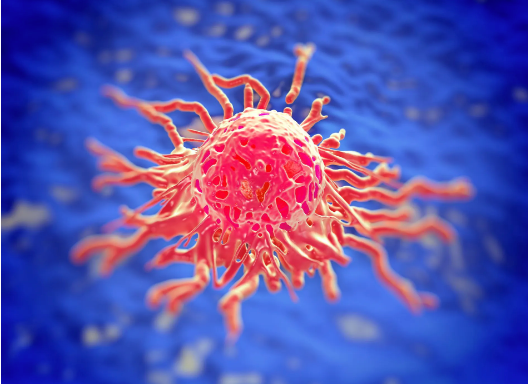 Addition of Pembrolizumab to Chemotherapy Can Significantly Improve Survival Outcomes in Patients with Cervical Cancer