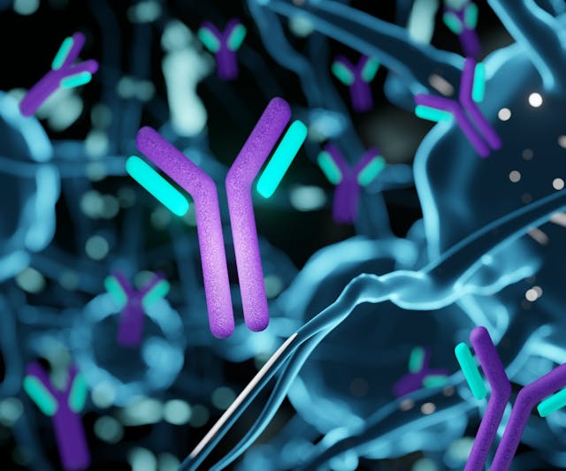 antibodies contribute to brain pathology associated with autoimmune diseases such as systemic lupus erythematosus | Image Credit: Love Employee - stock.adobe.com